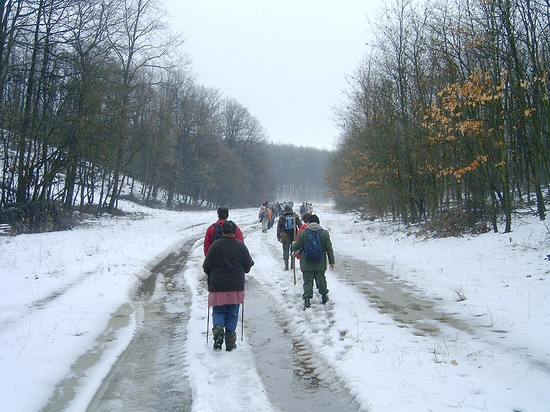 20100220 029.jpg